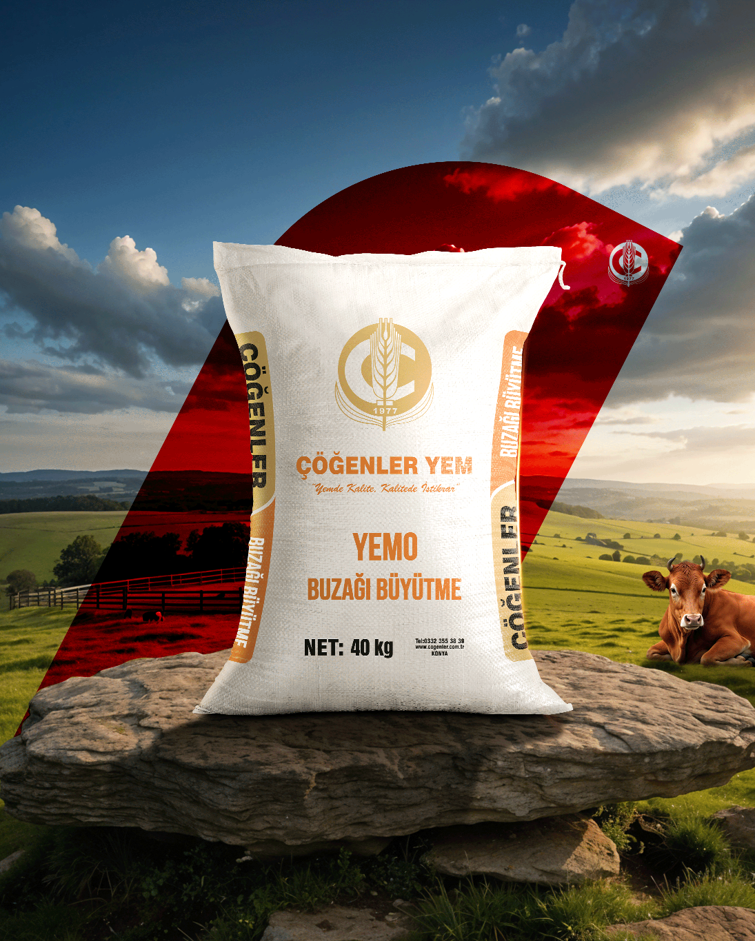 Yemo Buzağı Büyütme