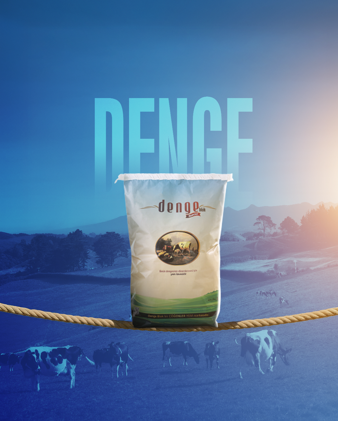 Denge Blok BESİ NPS