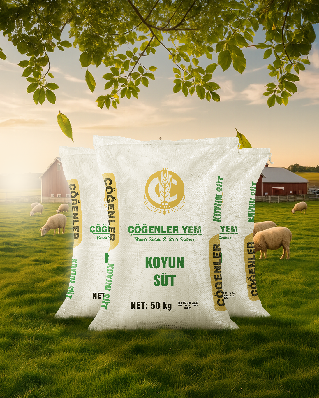 Koyun Süt Yemi