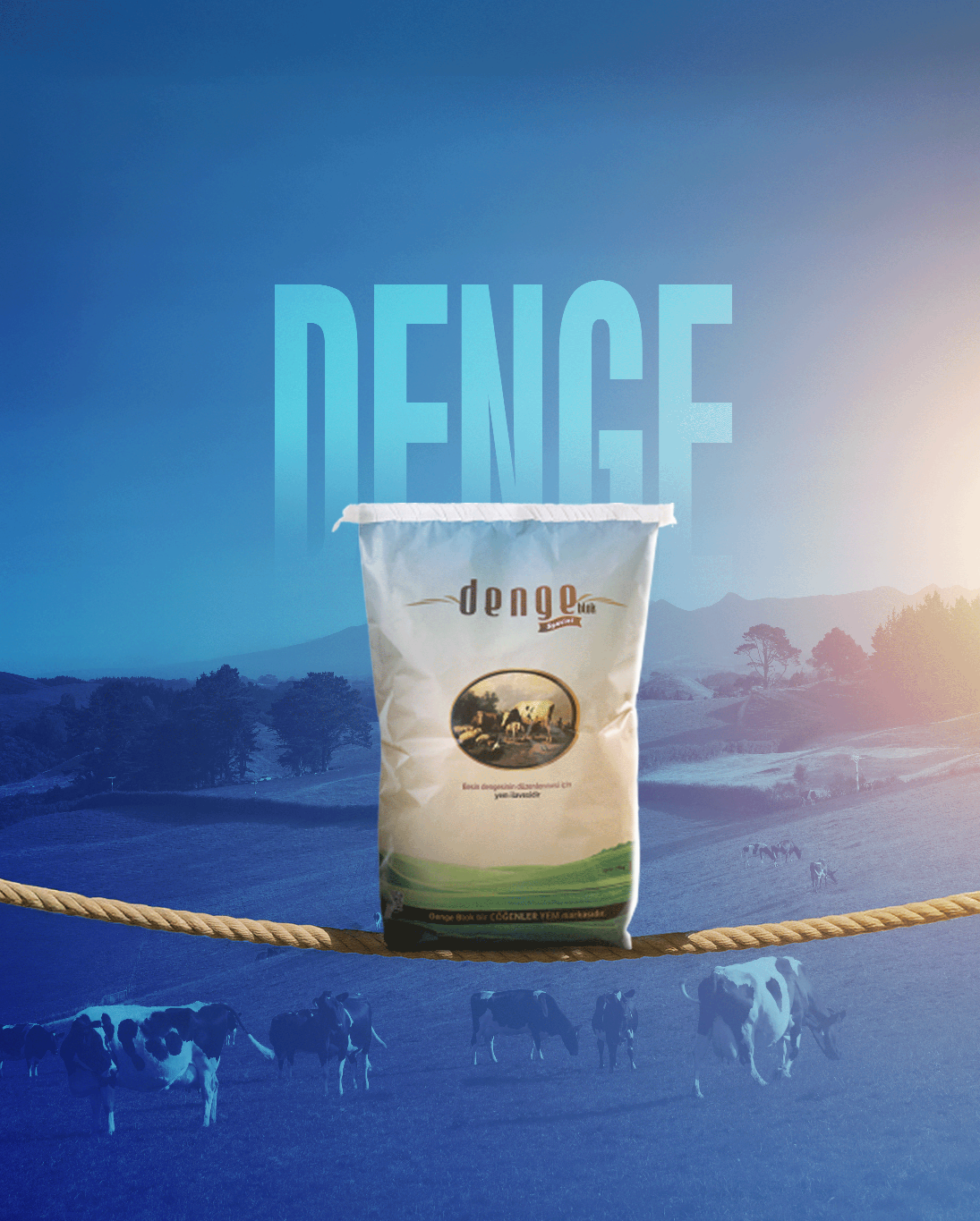 Denge Blok TOX
